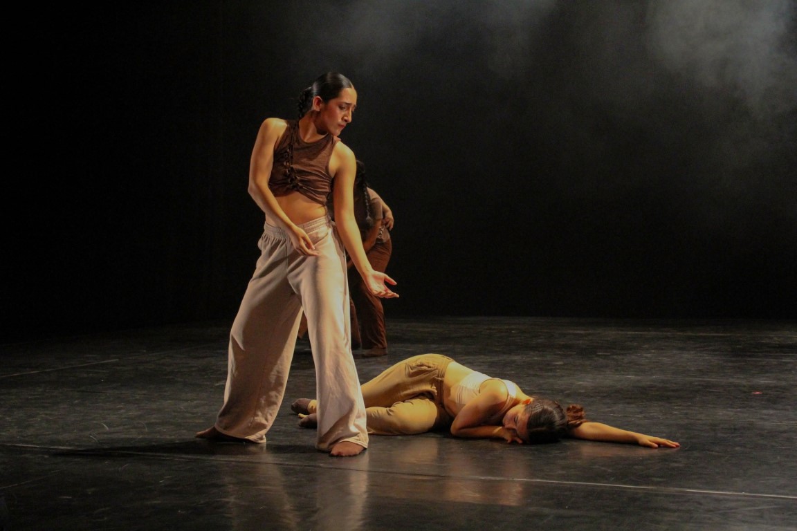 Proyecto 11